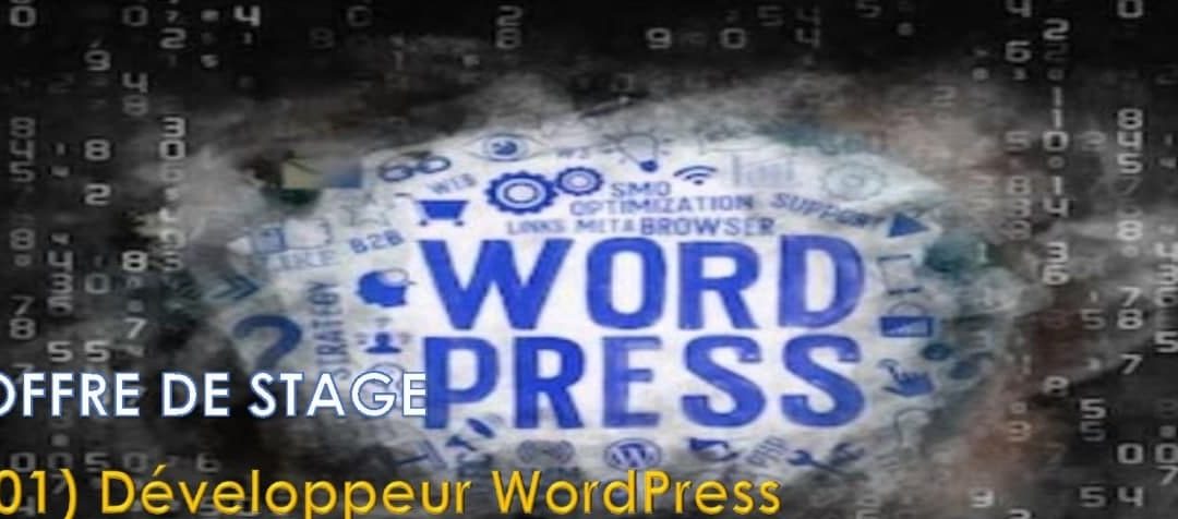 Offre de stage académique en Développement Web / WordPress chez African New Dream