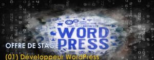 Image de Développement WordPress