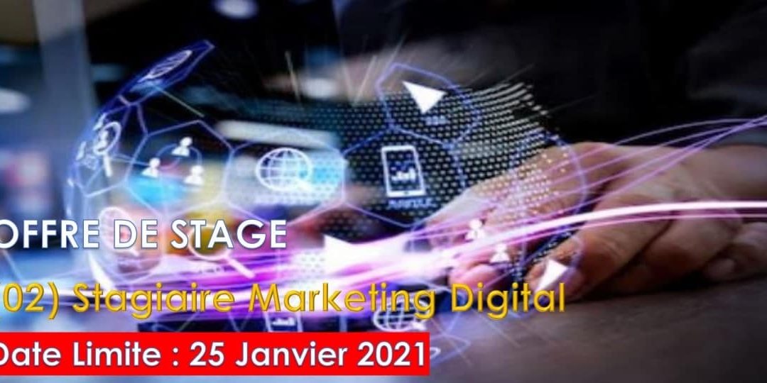 Offre de stage académique en Marketing Digital chez African New Dream